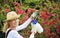 Young woman spraying tree