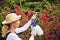 Young woman spraying tree in garden, the gardener takes care of the quince tree in orchard, holding spray bottle, happy young lady