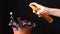 Young woman sprays water a flower in a flowerpot on a black background