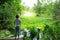 Young woman stand and looking at lotus on pond