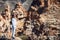 Young woman standing on the edge of rock enjoy mountains