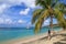 Young woman standing by the palm tree at the beach, Hillsborough Bay, Carriacou Island, Grenada