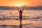 Young woman standing in sea with waves at sunset