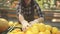 Young woman store worker in a brown apron sorts through fresh citrus fruits, oranges and lemons