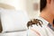 Young woman with striped knee tarantula on shoulder at home. Space for text