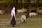 Young woman stroking sheep on a green glade