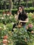 Young woman strolls in a rose garden