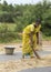 Young woman sweeps millet on public road.
