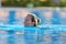 Young woman swimming in the pool on a warm summer day