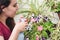 A young woman taking care of her garden, spraying water onto houseplant petunias in pots