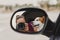 young woman taking a picture with camera on rear mirror of her cute small jack russell dog watching by the window. Ready to travel