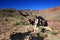 Young woman on the Tonto Trail in the Grand Canyon.