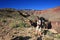 Young woman on the Tonto Trail in the Grand Canyon.