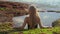 Young woman tourist relax in a natural little pond with seawater at the Pantai Tegal Wangi beach on the Bali island