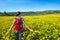 Young woman tourist walks on the background of colored fields.