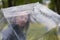 Young woman with transparent umbrella on blurred background of city park. Copy space