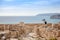 A young woman traveler photographs ancient ruins on the backgrou