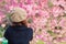 A young woman traveling and taking pictures of beautiful pink cherry blossom Sakura in winter. A young photographer travels and