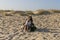 Young woman with two dogs at the beach. Summer time