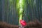 Young woman with umbrella, Bamboo forest at Sagano