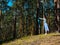 A young woman unwraps a bright yoga Mat in the forest, copy space, Sunny weather, summer. The girl is preparing for practice and