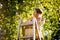 Young woman up on a ladder picking apples from an apple tree