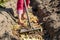 A young woman uses a garden rake to level organic waste in a compost pit in her garden. Compost pit preparation, organic waste