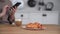 young woman uses a mobile phone and takes pictures of her breakfast of cappuccino and croissants for friends on social