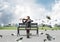 Young woman with violin sitting on wooden bench