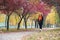 Young woman walk on footpath in autumn park, yellow leaves and trees