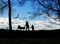 Young woman walking with baby stroller in park