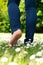 Young woman walking barefoot on green grass in the park