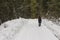 Young woman walking on forest road in winter Carpathian mountains. The path to the highest mountain of Ukraine-Hoverla