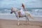 young woman walking with horse at the beach, horseback