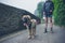 Young woman walking Leonberger puppy