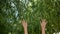 Young woman is walking in park and smilingly raises her hands and strokes trees