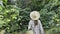 Young woman walks through a coffee plantation