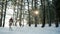 Young woman walks in the park, pretty girl with red hair holding a burning candle in hands, warming fire in winter