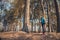 Young woman walks in a spring pinewood.