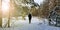 A young woman walks in a winter forest along a snowy trail with trekking poles. Nordic walking. The concept of a healthy lifestyle