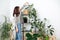 Young woman watering house plants on the rack in home garden in the corner