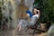 Young woman waving with paper fan while sitting in home garden filled with tropical foliage plants