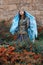 Young woman wearing Azerbaijan traditional dress posing outdoors