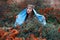 Young woman wearing Azerbaijan traditional dress posing outdoors