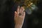 Young woman wearing beautiful silver ring with prehnite gemstone near pine