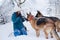 Young woman, wearing blue ski suit, playing with two german shepherds in snow in park. Female master training her dogs in forest