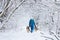 Young woman, wearing blue ski suit,walking with two german shepherds in snow in park. Female master training her dogs in forest