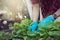 Young woman wearing plastic glove select young plant and checking growth rate of plant in the greengarden