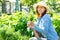 Young woman weeding the beds with sprouts dilli in the garden