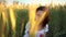 A young woman in a white dress sits in a green wheat field and holds a spikelet in her hands. The girl touches the